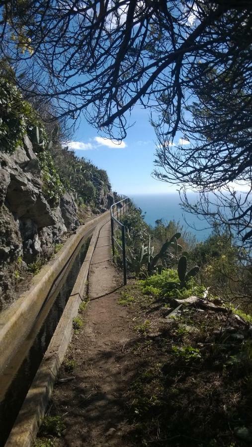 Rib Brava Garden Apartment Ribeira Brava Eksteriør billede